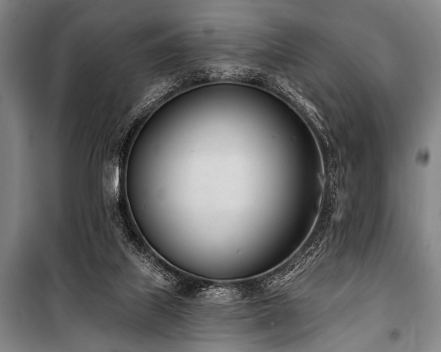 X0000101200067200806271400