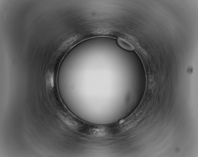 X0000101200068200806271401