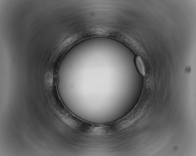 X0000101200072200806271401