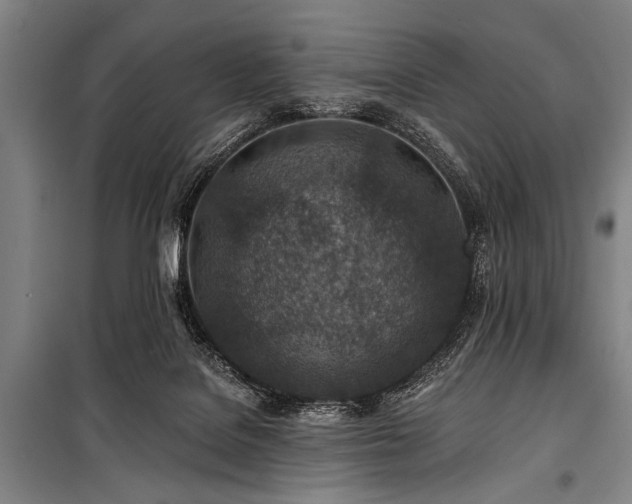 X0000101200076200806271401