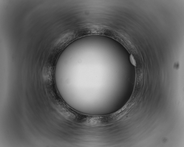X0000101200078200806271401