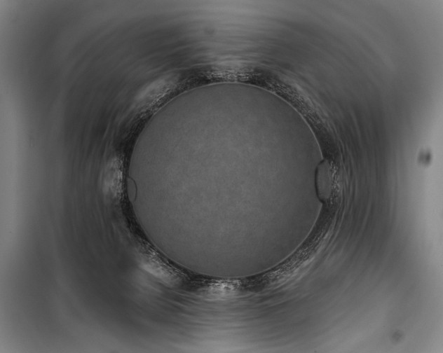 X0000101200080200806271401