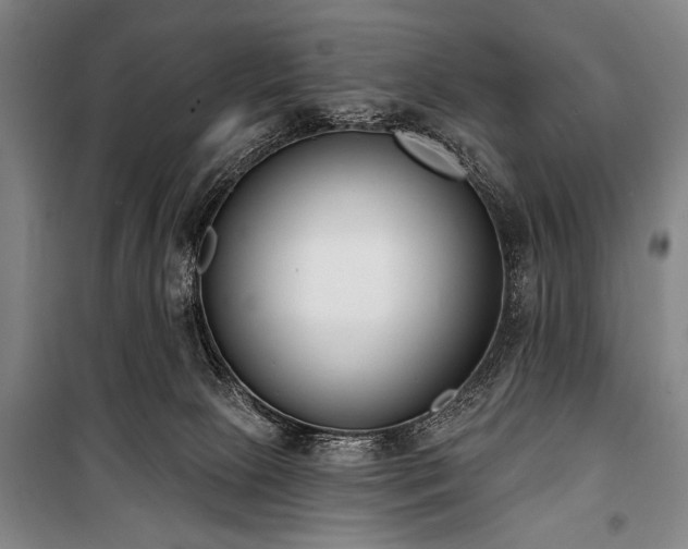 X0000101200081200806271401
