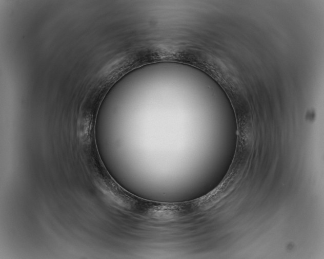 X0000101200082200806271401