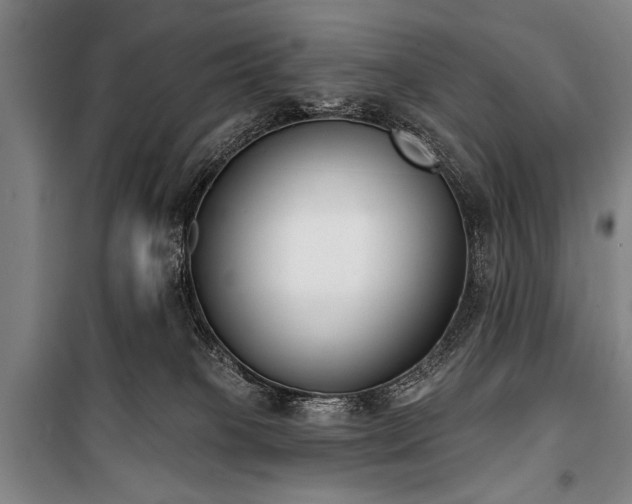 X0000101200085200806271401