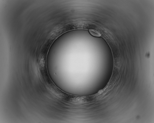 X0000101200086200806271401