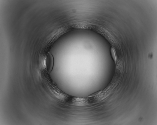 X0000101200095200806271401