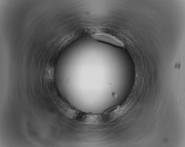 X0000101200096200806271401