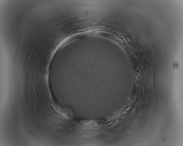 X0000101200100200806271400