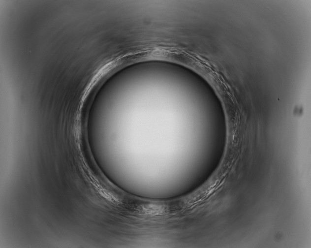 X0000101200102200806271400