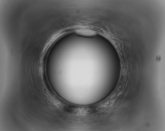 X0000101200103200806271400