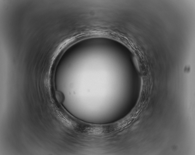 X0000101200104200806271400