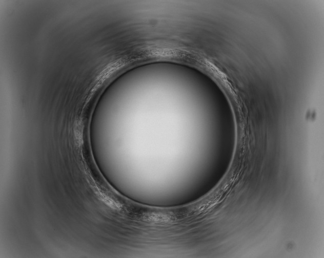 X0000101200106200806271400