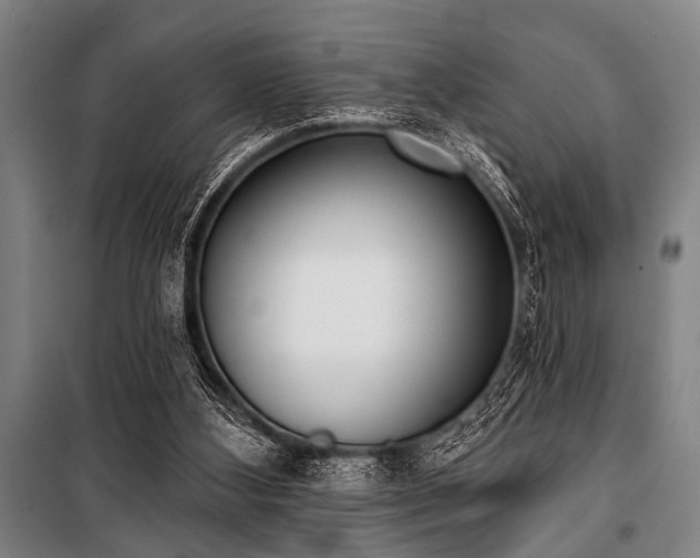X0000101200108200806271400