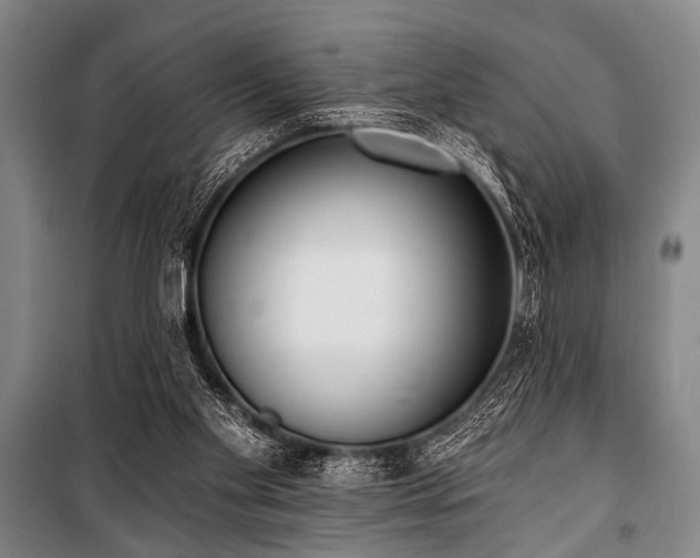 X0000101200109200806271400