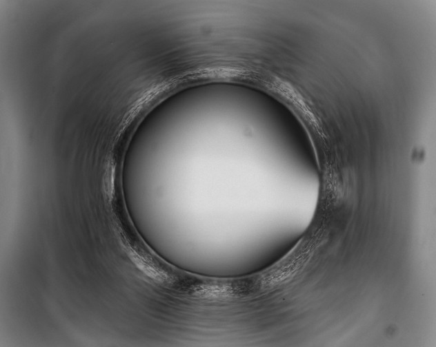 X0000101200110200806271400