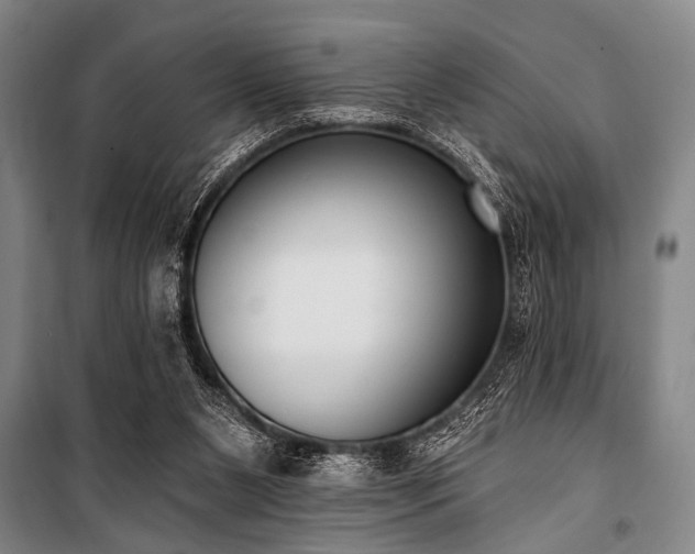 X0000101200111200806271400