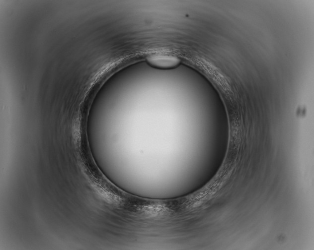 X0000101200112200806271400