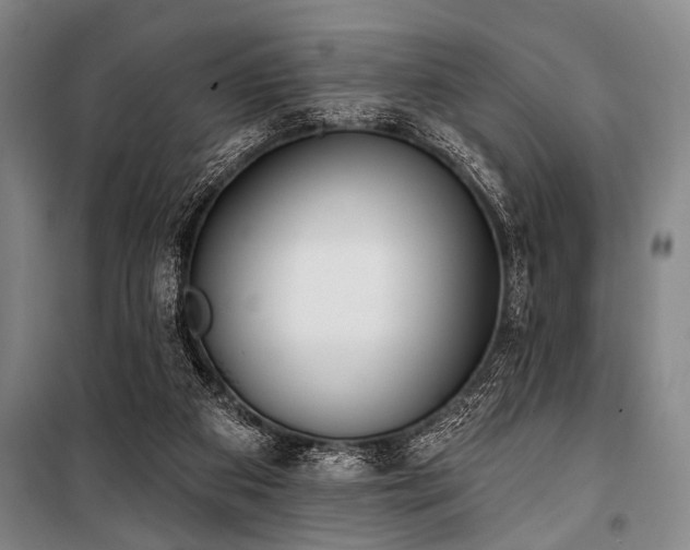 X0000101200113200806271400