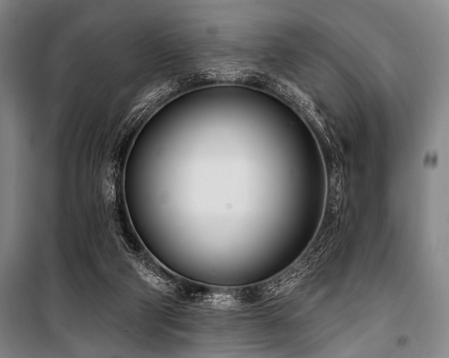 X0000101200114200806271400