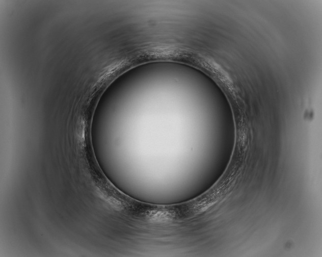 X0000101200115200806271400