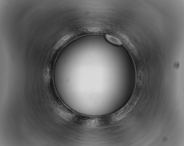 X0000101200116200806271400
