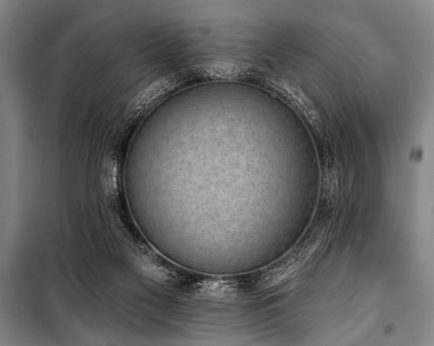 X0000101200117200806271400