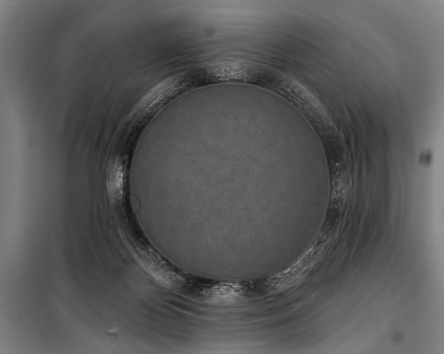 X0000101200124200806271400