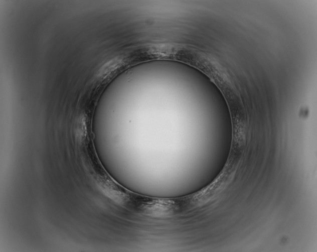 X0000101200128200806271400