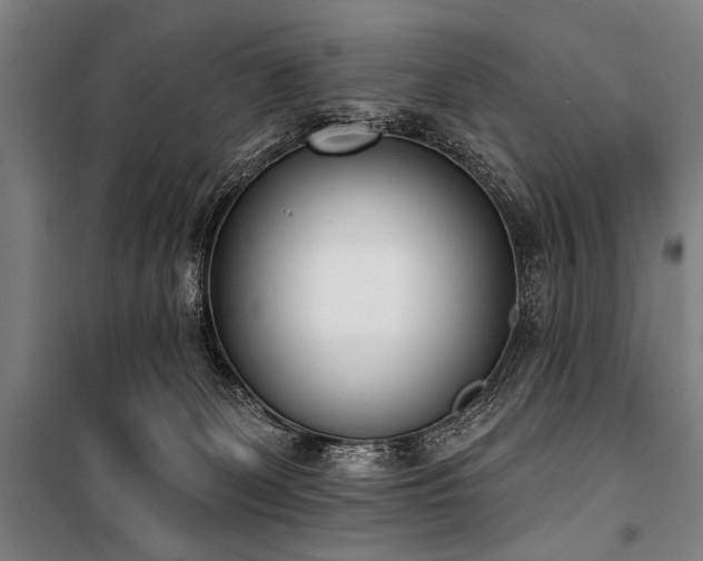 X0000101200131200806271400