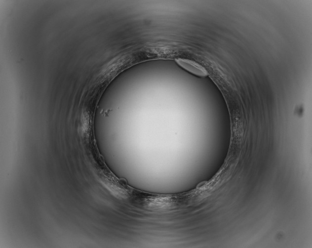 X0000101200132200806271400