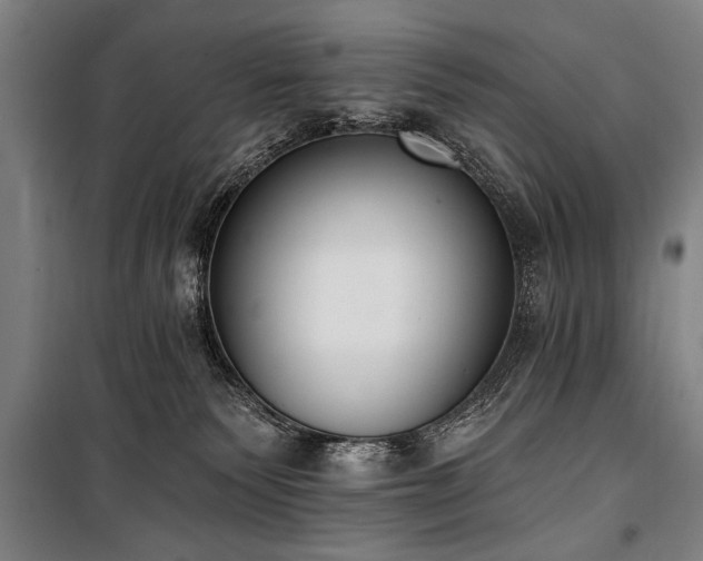 X0000101200135200806271400