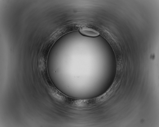 X0000101200136200806271400