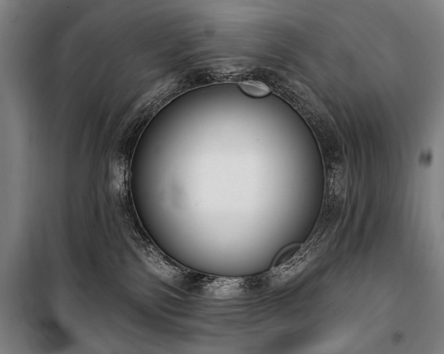 X0000101200138200806271359