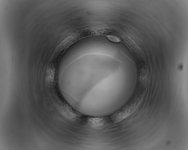 X0000101200139200806271359