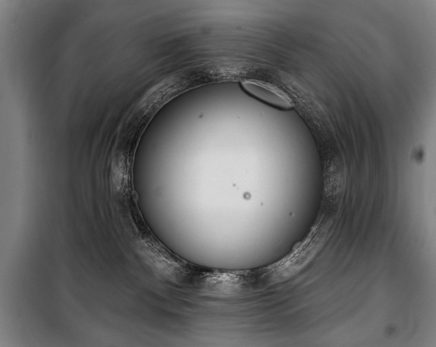 X0000101200140200806271359