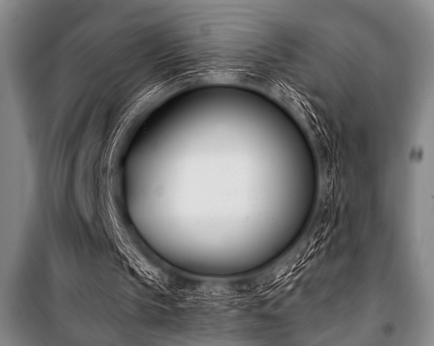 X0000101200145200806271359