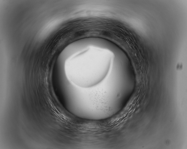 X0000101200146200806271359