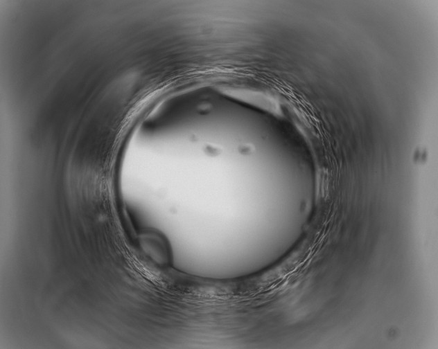 X0000101200147200806271359