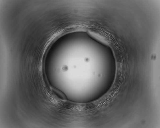 X0000101200148200806271359