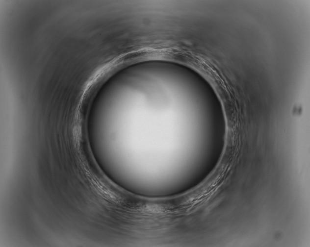 X0000101200149200806271359