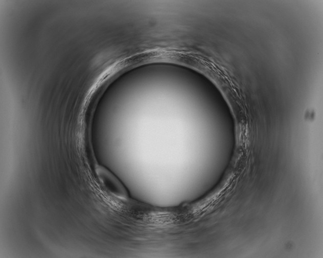 X0000101200150200806271359