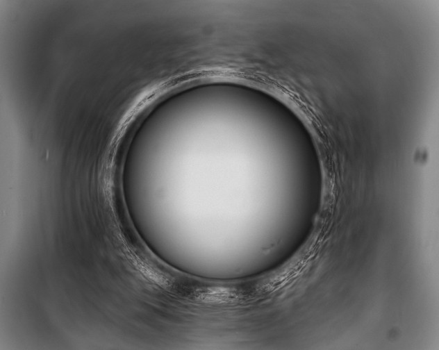 X0000101200151200806271359