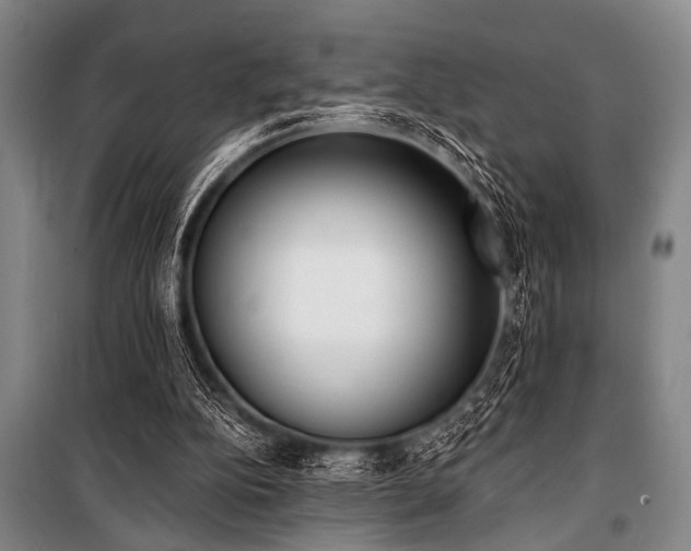X0000101200152200806271359