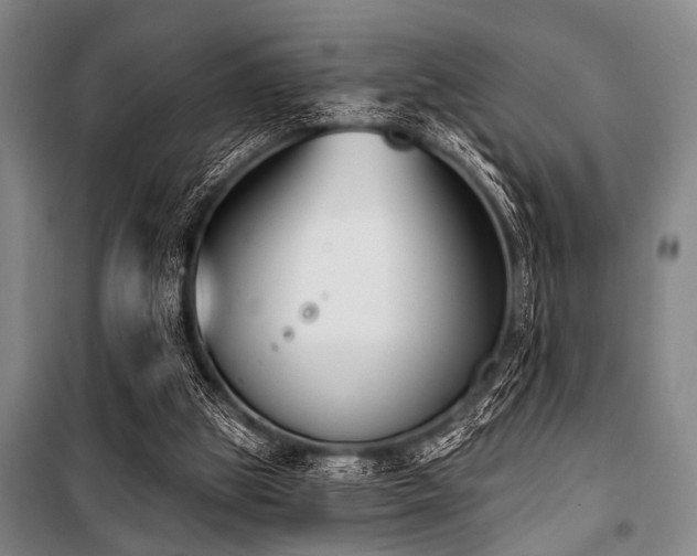 X0000101200153200806271359