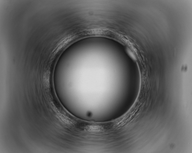 X0000101200154200806271359