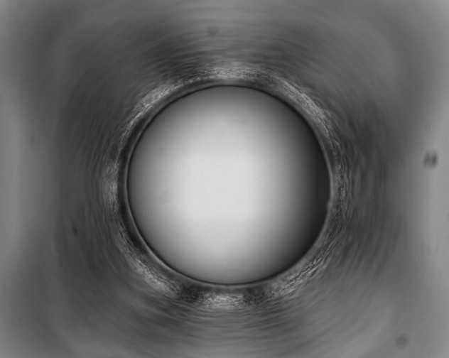 X0000101200155200806271359