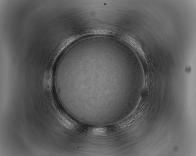 X0000101200156200806271359
