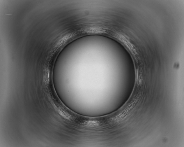 X0000101200157200806271359