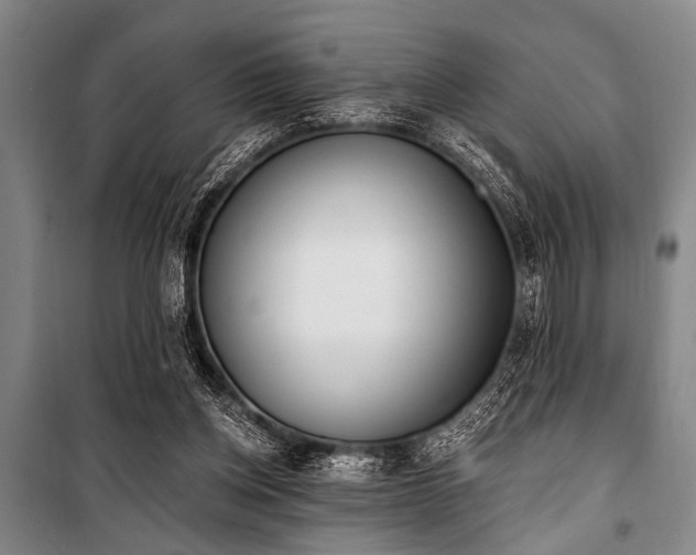 X0000101200158200806271359